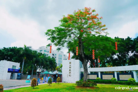 1222(1).png